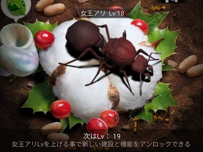 女王アリのレベル18達成